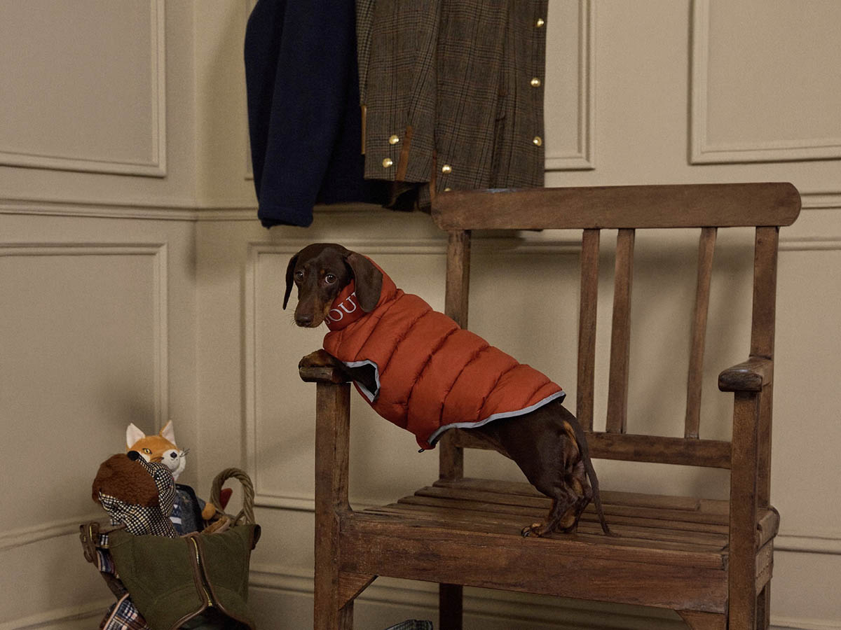 Joules reversible dog puffer jacket gift for dog lovers in the UK