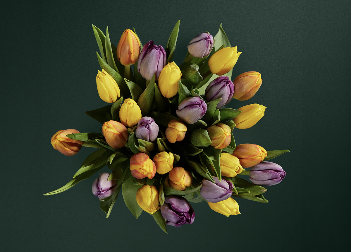 Spring tulip bouquet from Marks and Spencer