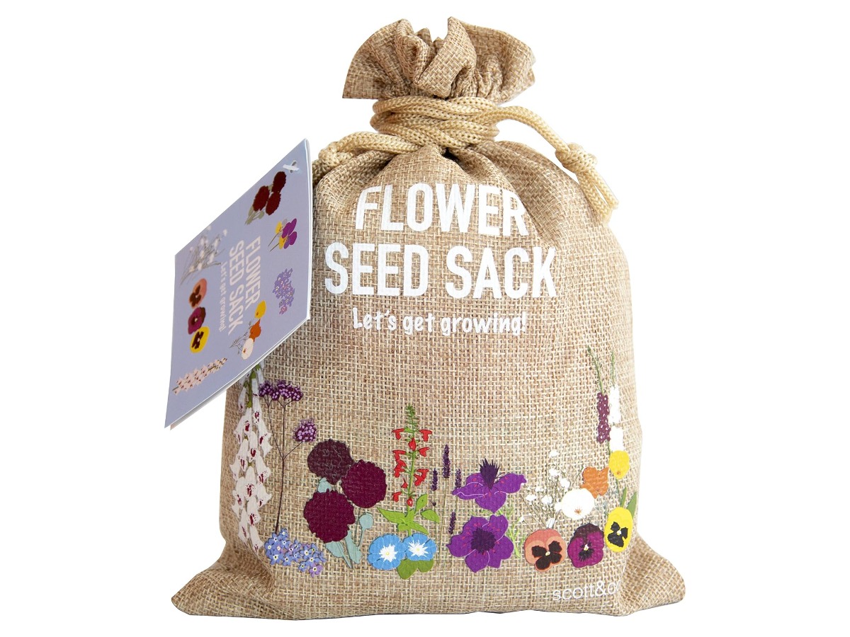 Scott & Co Flower Seed Kit gift under £40 in the UK
