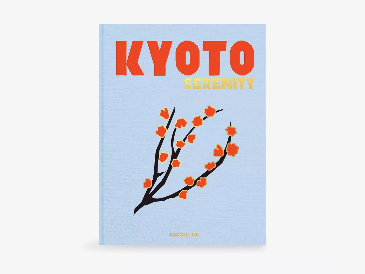 Assouline coffee table book stylish gift for girlfriend
